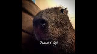 Download lagu Charli XCX- Boom Clap (speed up)