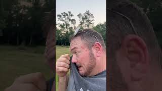 Watermelon Valley makes a comeback, quail population getting peeked up. #fun #family #alabama #farm