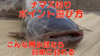 ナマズ釣り 用水路見分け方 ポイントの見つけ方【282】虫くん釣りch