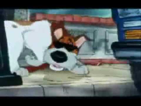 Dodger and Zira: The Big Bad Cat