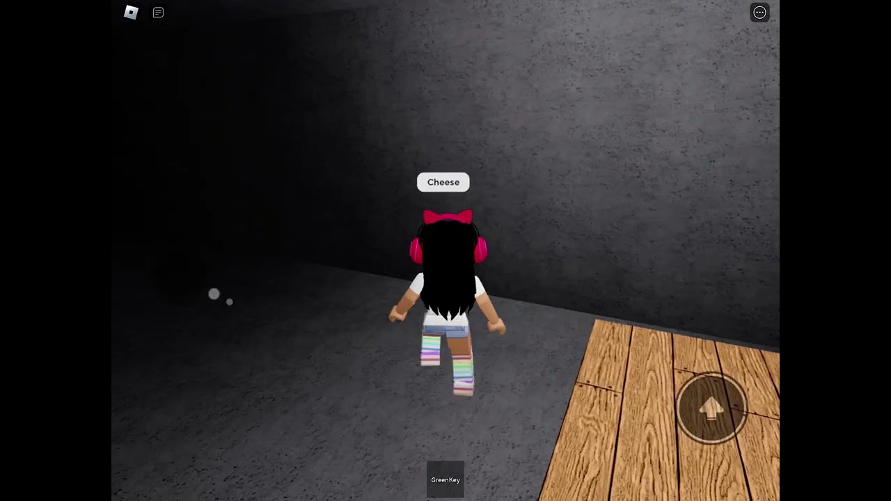 I found the Green key Roblox cheese Escape￼