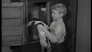 Lassie - Episode #133 - "The Penguin" - Season 4, Ep 30 - 03/30/58