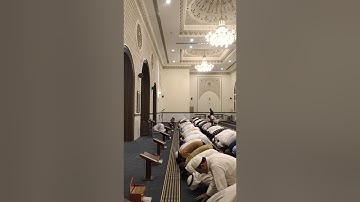 سورة المؤمنون surah mumenon