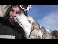 Mushing at Sky High Wilderness Ranch, Yukon, Canada, 2017