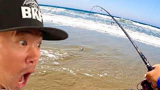 4 Tips for Sight Fishing Corbina in SoCal Surf [Personal Best!]