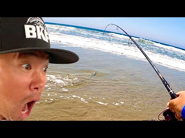 4 Tips for Sight Fishing Corbina in SoCal Surf [Personal Best!] 