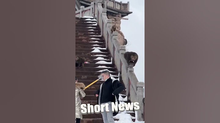 Mugger Monkeys Chased Off By Woman With Shovel As they Demand Toll From Man Climbing Steps