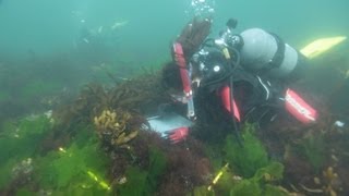 探訪 豊かな藻場 回復の兆し　宮城県石巻市狐崎浜