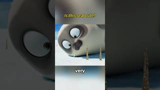 Is It The Cutest Seal Youve Ever Seen?