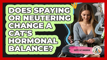 Does Spaying Or Neutering Change A Cat
