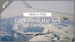 Fda Fuji Dream Airlines Co Ltd Youtube