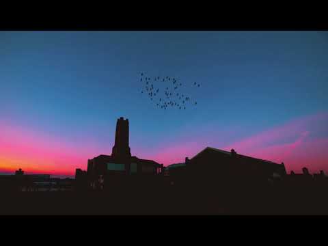 Putar Contemplate... (Seeing Voices) - Chasing Noise