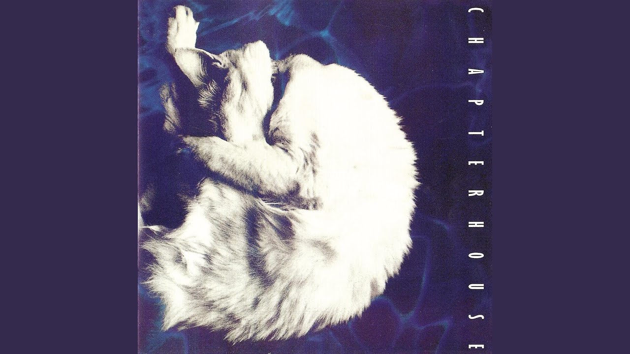 Mira Feel the Same en YouTube Mira Feel the Same en YouTube