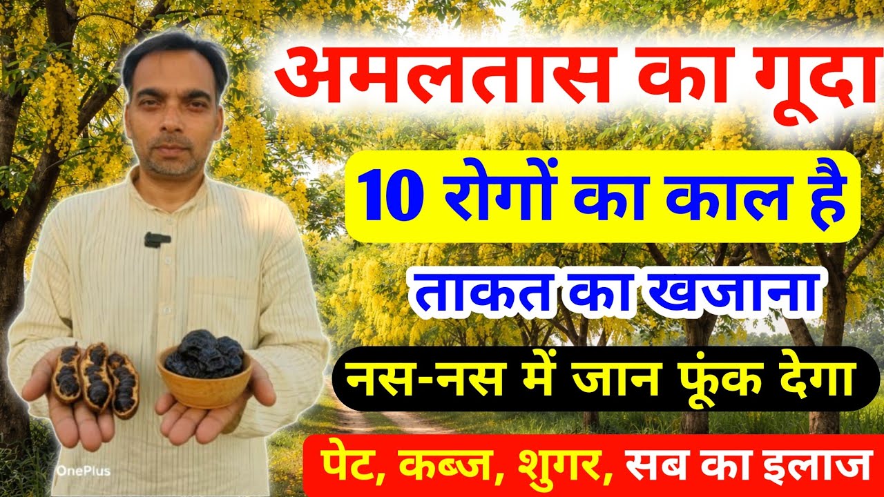 अमलतास का उपयोग | Amaltas ke gude ke fayde | Amaltas pulp benefits | Amaltas for constipation | 