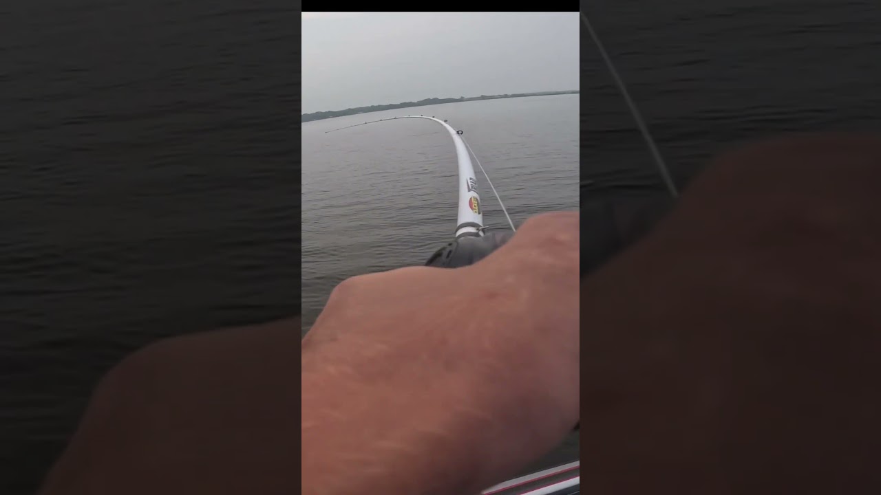 Catching bass during our tournament 