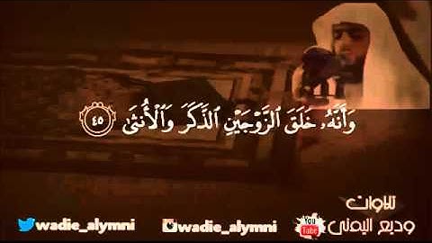 تلاوة بديعية من سورة النجم   القارئ   وديع اليمني