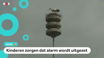 Ooievaars bouwen nest bovenop luchtalarm