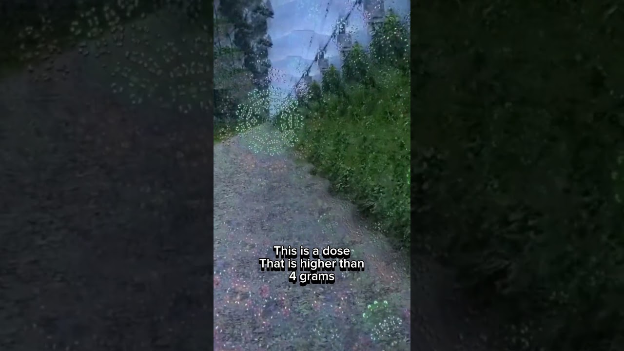 High Dose Mushroom Simulation 