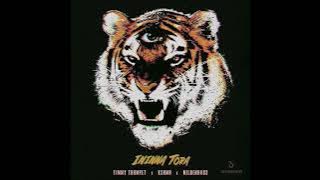 Timmy Trumpet x KSHMR x Mildenhaus - Ininna Tora (Extended Mix)