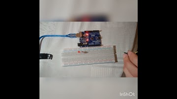 Projeto 1 - Pisca Pisca