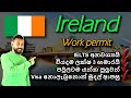 Ireland work visa at lowest cost  ireland critical skills work visa 2024  no ielts  sinhala