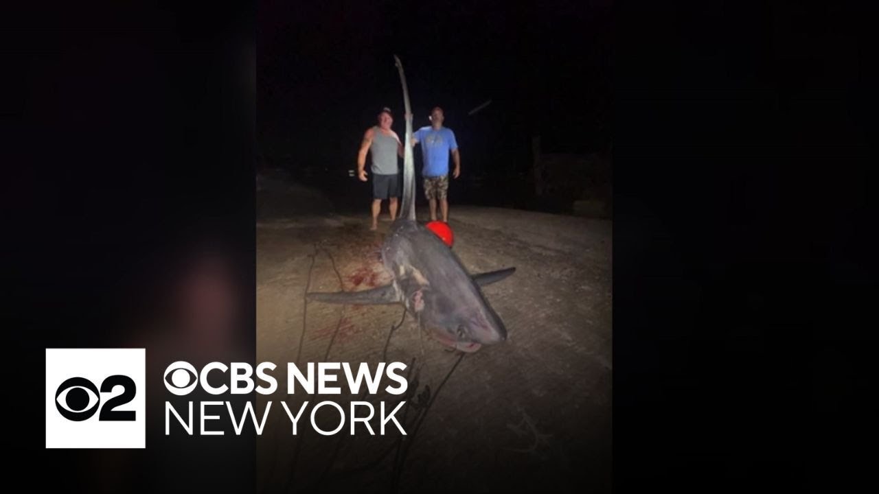 Connecticut fisherman catches 16-foot, 700-pound shark in Long Island Sound