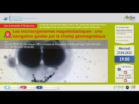 Vidéo: A quoi servent les magnétosomes ?