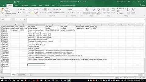 With EXCEL SHEET how to IMPORT Activities from BOQ directly to Primavera ?