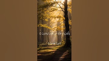 سورة فصلت #اكسبلور #قرآن  #بصوت القارئ حسام تامر 🖤