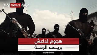 هجوم لداعش بريف الرقة يؤدي لمقتل 10 مقاتلين مع الجيش السوري