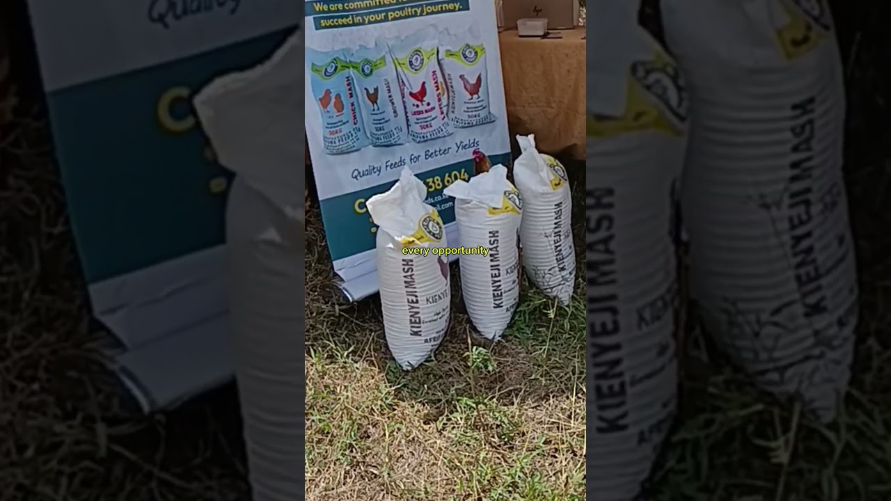 Align your decisions with vision 