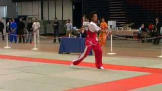 wushu sampler championnats de france 2006