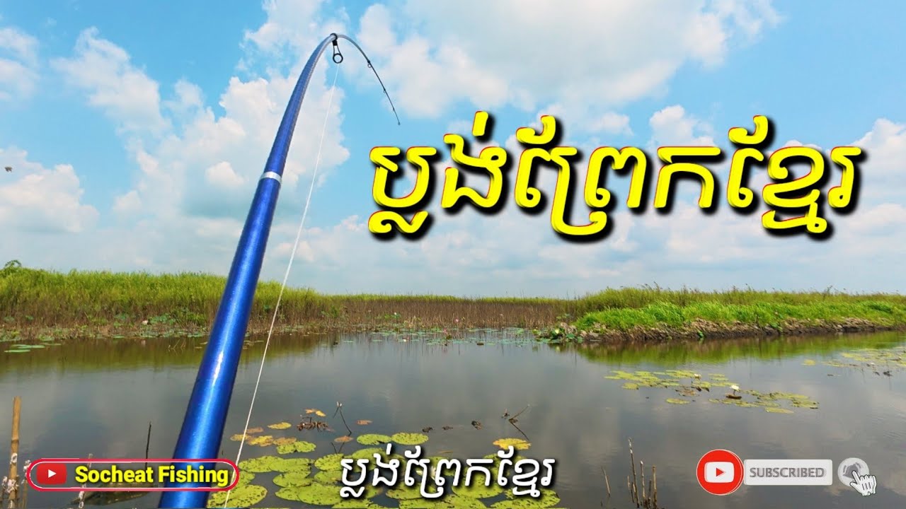 ប្លង់ជិះទូកព្រែកខ្មែរ /Amazing snakehead fishing #fishingdaily #fishing #fishspecies #amazingfishing
