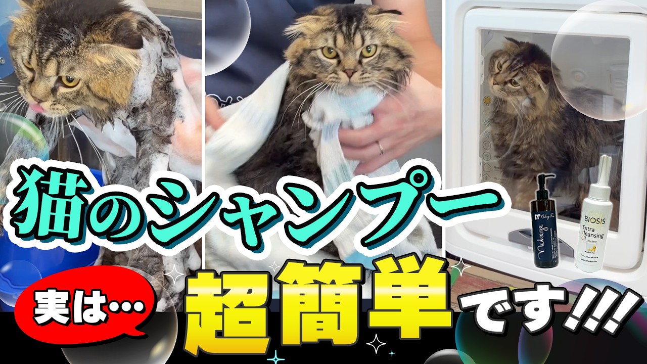 オールインワン 猫用シャンプー（部分洗いにも最適！）】猫の抜け毛