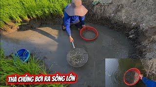 Giải cứu cá mắc cạn (Tập 204) 