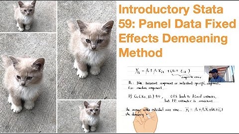 Introductory Stata 59: Panel Data Fixed Effects Demeaning Method