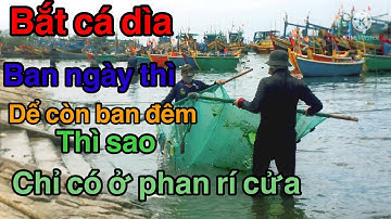 Những cái kết đi bắt cá dìa .. ở phan rí cửa .. giá rất cao ..cá nhỏ lí tí .mời các bạn theo mình