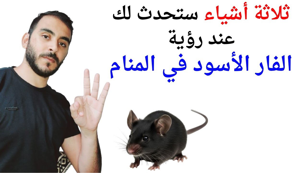 ثلاثة امور ستحدث لك عند رؤية الفار الأسود في المنام l تفسير حلم رؤية الفار الأسود في المنام بالتفصيل