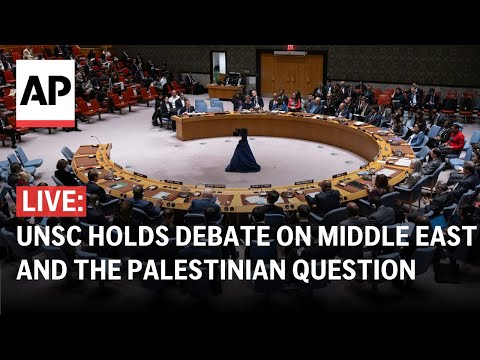 LIVE: UN Security Council holds debate on Middle East and the Palestinian question