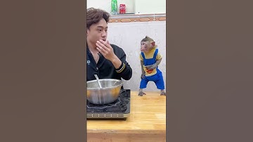 🔥Play some fun games with monkey. 🤣So funny. 💰Everyone can earn $50,000 a month with crypto drainer