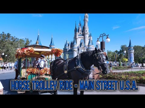 Magic Kingdom Main Street USA Horse Trolley Ride camera iphone 8 plus apk