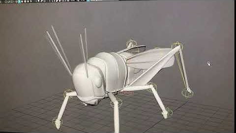 locust animation testing