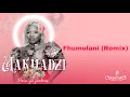 Makhadzi  fhumulani remix official audio visualizer feat mr brown