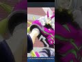 Vg zero rising nova ride animation  kyou stride line with eng subs