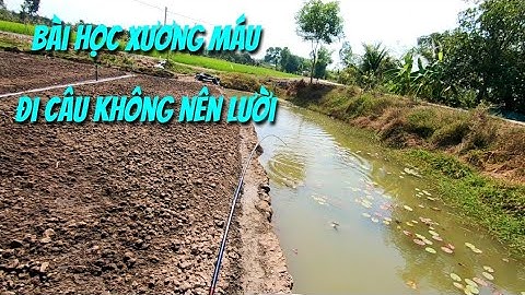 Câu cá lóc đồng .Trời nắng câu mồi gì ?