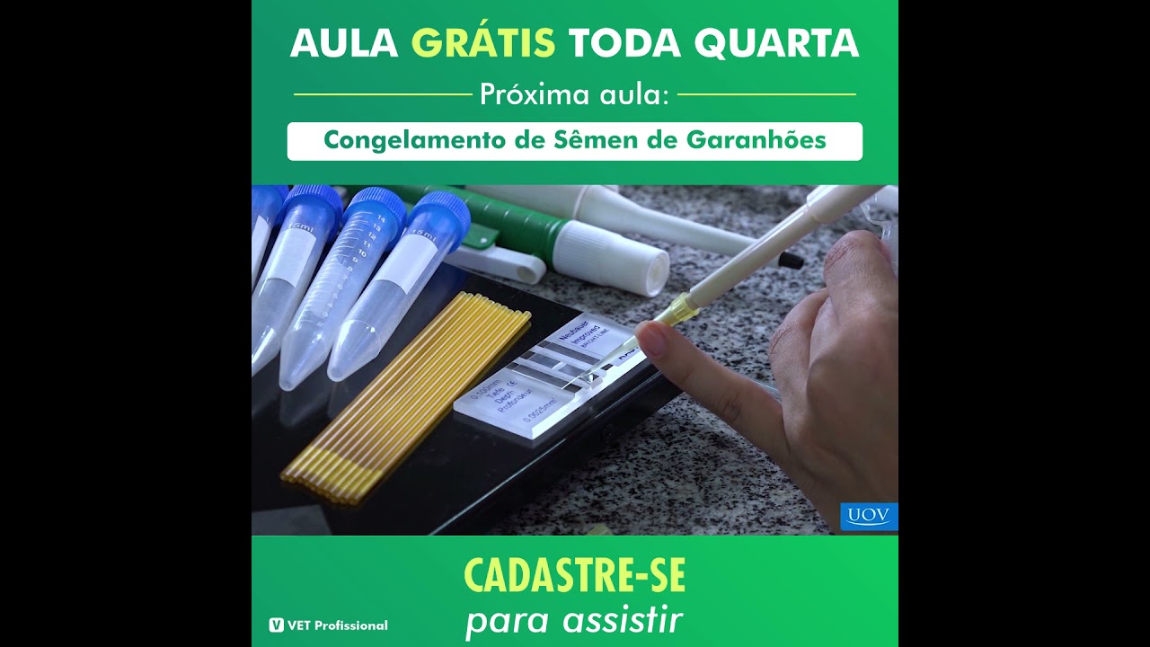 Reprodução Equina - Congelamento de Sêmen de Garanhões