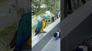 🔥 Lineup Just Got Heavier - TJ Rogers Is Joining The Red Bull Spot Check Taipei Crew This Saturday