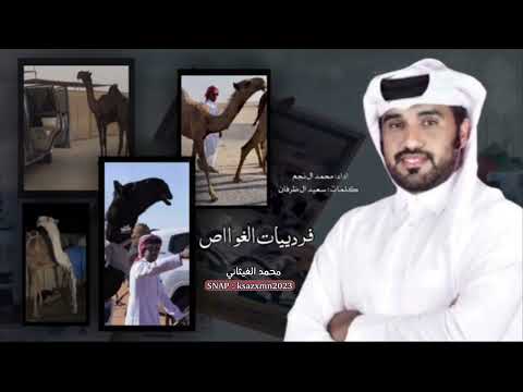 الجديد والحصري شيلة فرديات الغواص كلمات سعيد ال ظرفان ادا محمد ال نجم 