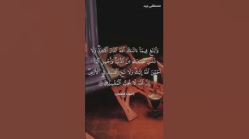 آيات بينات من سورة القصص بصوت القارئ مصطفى جيد حفظه الله