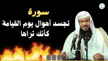 سورة تجسد أهوال يوم القيامه كأنك تراه